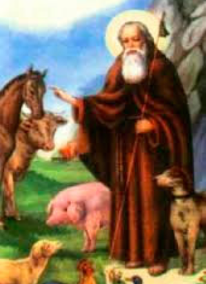 Santo Otão