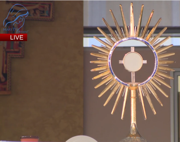 Adorar a Jesus