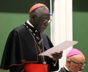 Papa apoia missa 'ad orientem' e comunhão de joelhos